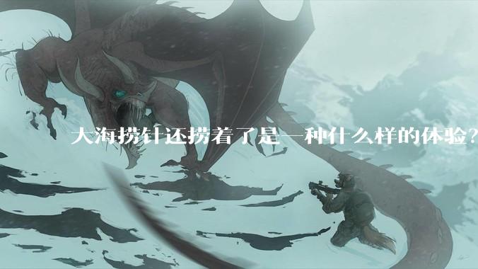 大海捞针还捞着了是一种什么样的体验？