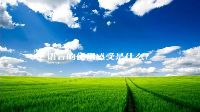 Go 语言的使用感受是什么？