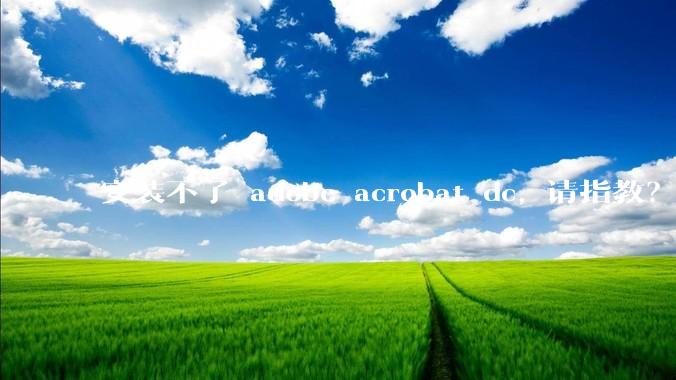 安装不了 adobe acrobat dc, 请指教？