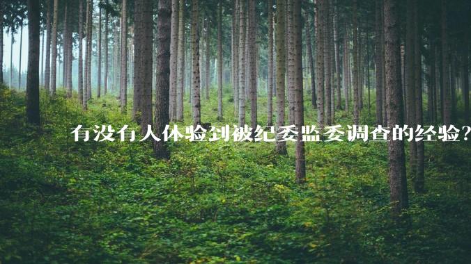 有没有人体验到被纪委监委调查的经验？