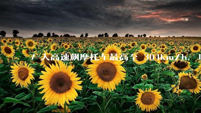 7 人高速飙摩托车最高至 304km/h，1 人被吊销驾驶证，6 人被***取刑事强制措施，如何看待此事？